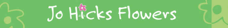 logo.jpg (20809 bytes)