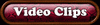 vid.gif (3012 bytes)